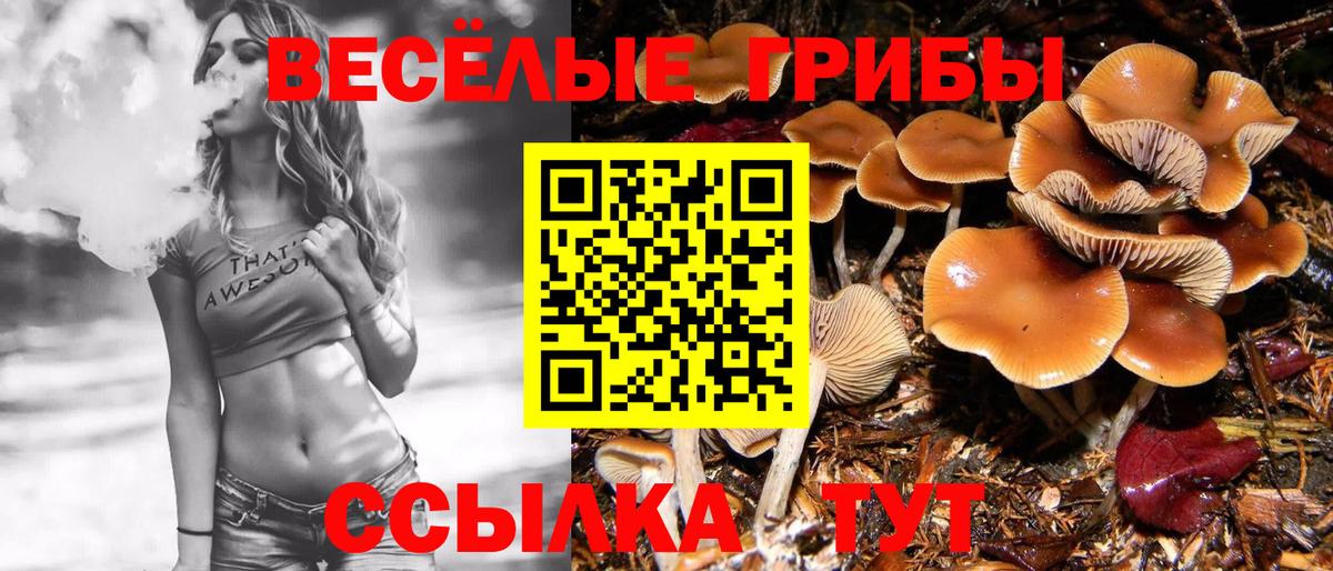 Галлюциногенные грибы GOLDEN TEACHER Нижний Новгород
