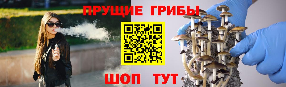 где найти   Вход с VPN  Нижний Новгород  Галлюциногенные грибы Psilocybine cubensis 